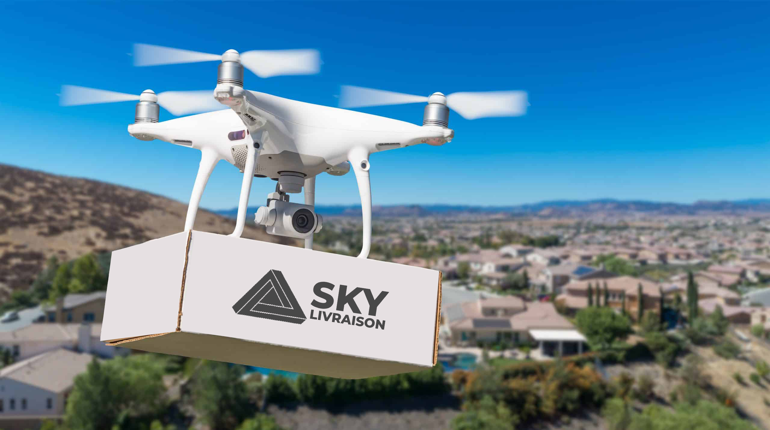 image projet SKY LIVRAISON