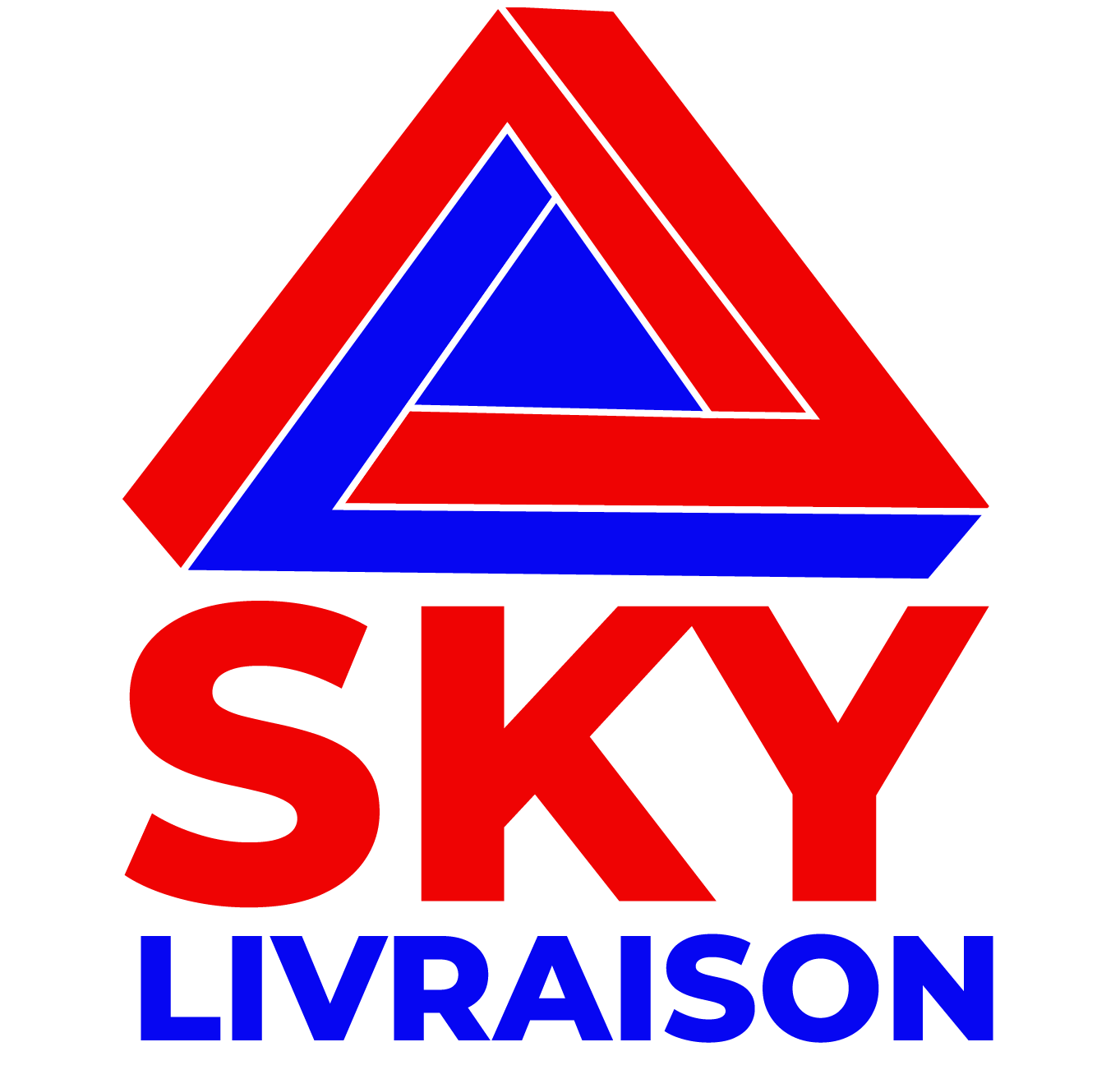 Logo SKY LIVRAISON